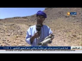 بشار .. الضّب حيوان مهدد بالانقراض بسبب عمليات الصيد