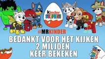 #MRKINDER #PAWPATROL AVENGERS 2 MILLION VIEWS SPECIAL | THANK YOU FOR WATCHING!!! #ANIMATION
