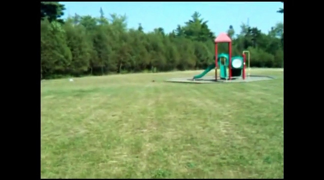 Fast race car