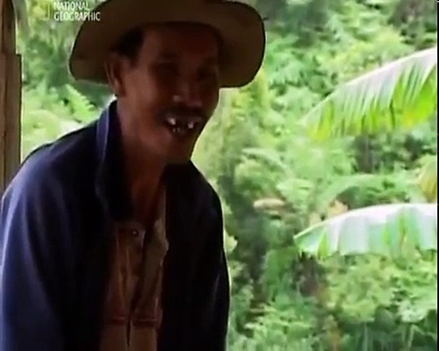 Реальность или фантастика Обезьяночеловек National Geographic