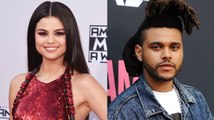 Selena Gomez and The Weeknd Snuggle On ‘Cozy’ Date Night