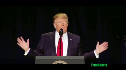 Arnold Schwarzenegger hits Trump on Twitter