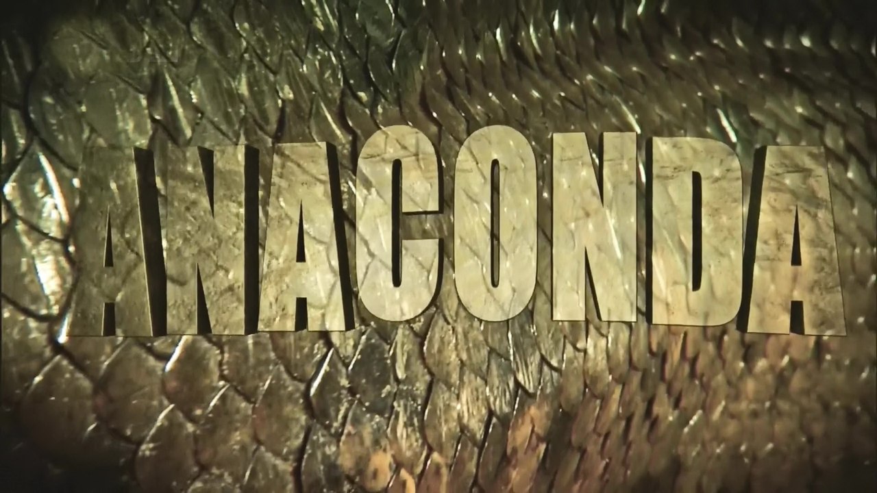 Анаконда: Тихий Убийца / Anaconda: Silent Killer (2014) HD