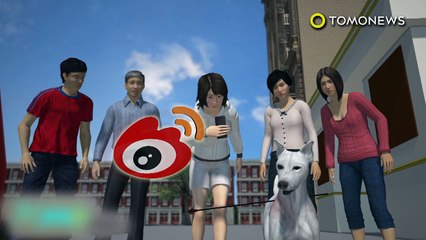 Cão atingido por flecha é resgatado por abrigo de animais chinês.