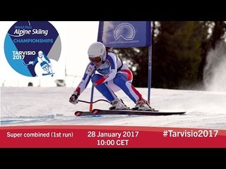 Super Combined 1st run |  2017 World Para Alpine Skiing Championships, Tarvisio
