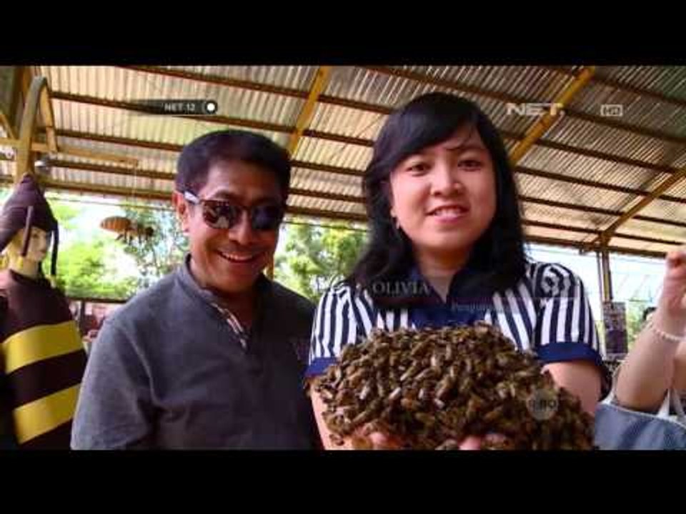 Sensasi Wisata Petik Madu di Malang - NET12