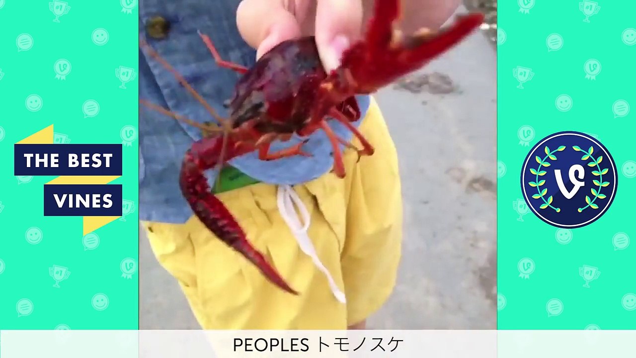 TRY NOT TO LAUGH OR GRIN Japanese Edition - WTF Japan Funny Compilation - Downloaded from youpak.com (1)