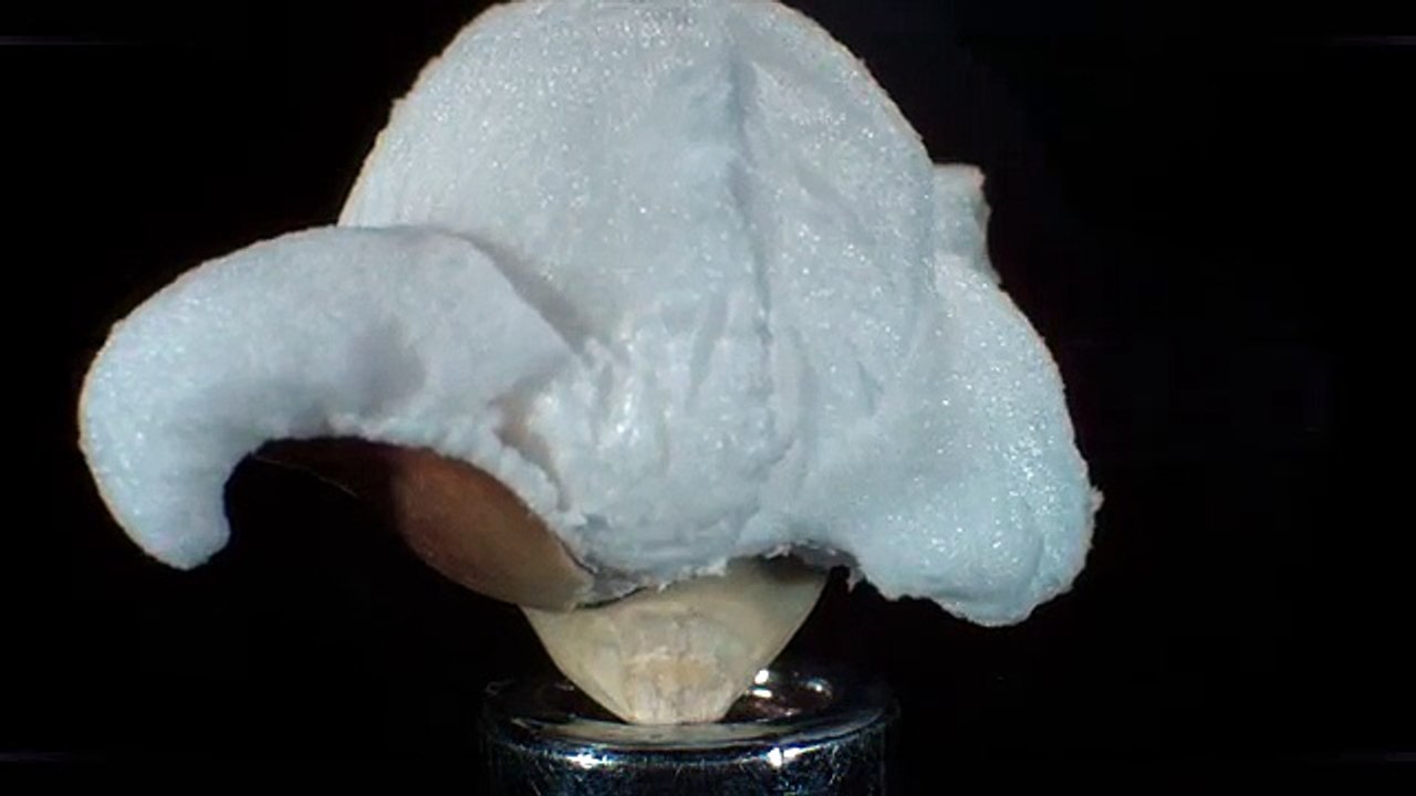 Quay chậm 1250 lần, hình ảnh bắp rang nở thật mãn nhãn