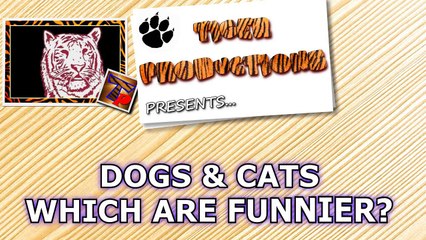 IF YOU LAUGH YOU LOSE CHALLENGE - Cats & Dogs - Who is the funniest to you-yWqtAoI_6Qk