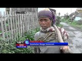 Hujan Abu Guyur Permukiman Suku Tengger - NET12