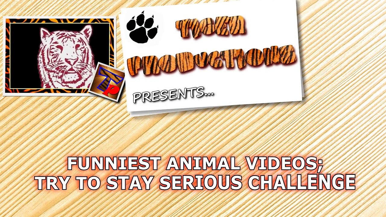 TRY TO STAY SERIOUS CHALLENGE - The best ANIMAL videos-lDAJcGWFHCw