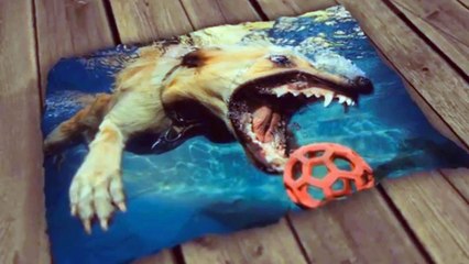 5 MOMENTOS TERRÍVEIS CAPTURADOS EM VÍDEOS