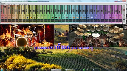 แมลงภู่ตอมดอก♥คาราโอเกะX3♥