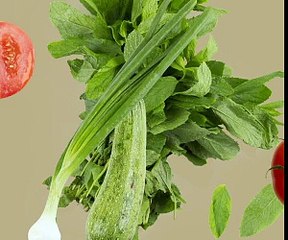 けものフレンズ　第5話 - 無料番組 - MioMio弹幕网 - ( ^ω^)你是我的Master吗 - miomio.tv