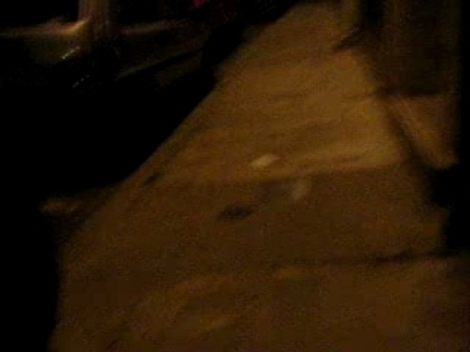 ANTOINE KI GERBE SUITE