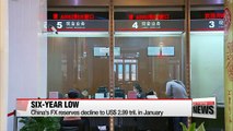 China's January foreign reserves fall to six-year low