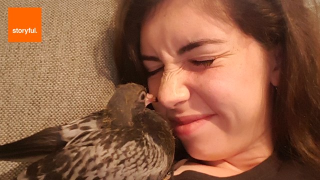 Sydney Woman Raises Rescued Pigeon