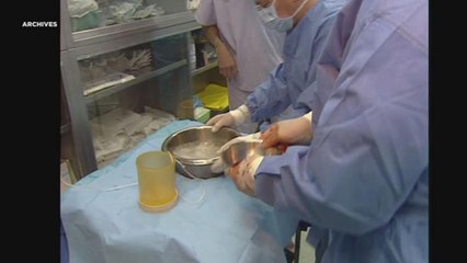 Ватикан: участие Китая критически важно для борьбы с торговлей органами