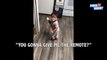 Funny Dad Chases Sweet Son Who Stole Remote Control Video 2017 _ Daily Heart Beat-8PmPcM9RXQ0