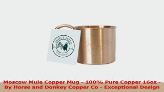 Moscow Mule Copper Mug  100 Pure Copper 16oz  By Horse and Donkey Copper Co  e49fa446