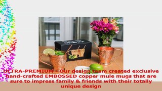 Moscow Mule Pure Copper Mug Set  Bonus Copper Straws  Stir Sticks for Cocktails Juleps  4ea2593c