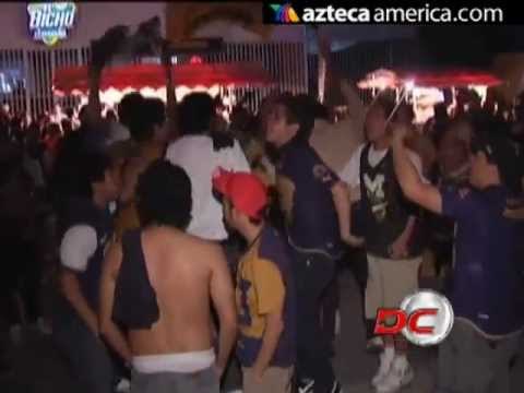 Los Pumas y sus barras...Que opinas?