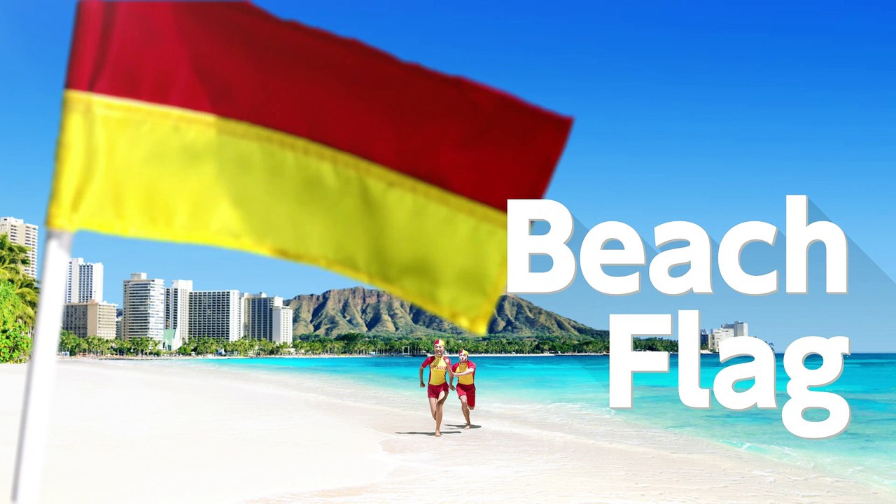 1-2 Switch -Beach Flag