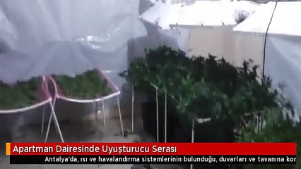 Apartman Dairesinde Uyuşturucu Serası