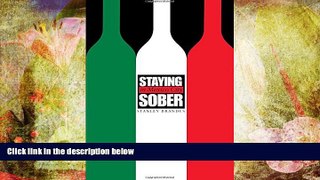PDF [FREE] DOWNLOAD  Staying Sober in Mexico City Stanley Brandes READ ONLINE