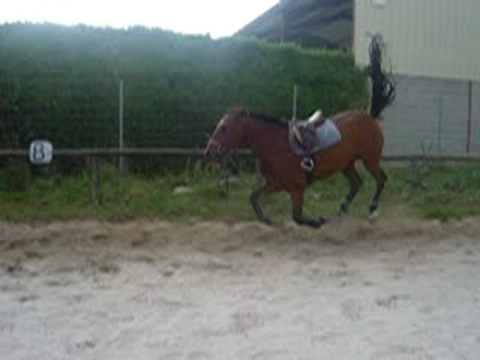 CHUTE DE MATHY