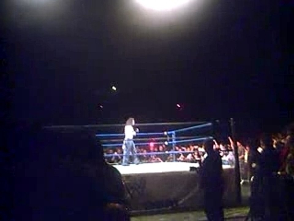 WWE SMACKDOWN LIVE TOUR BERCY SORTIE PALUMBO