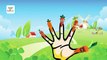 Carrot Cartoon Animation Finger Family Nursery Rhyme | Daddy Finger Carrot Songs For Children