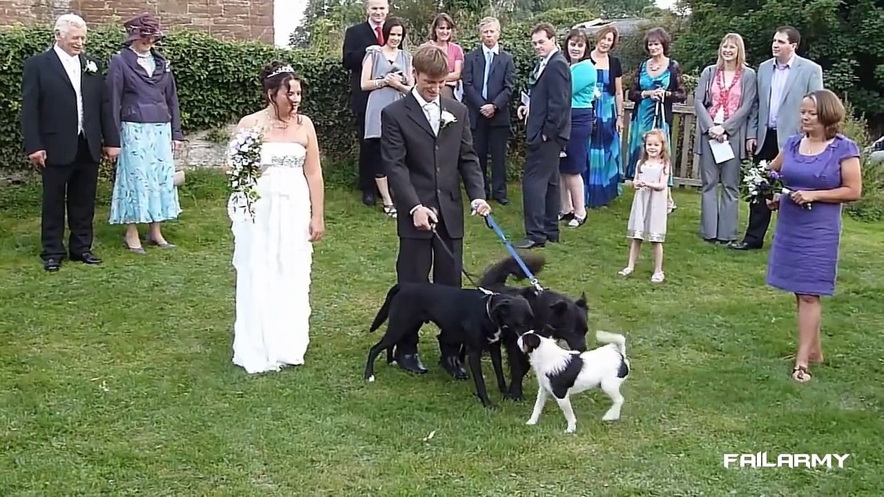 Wedding Fails Compilation 2016 -- Best Funny