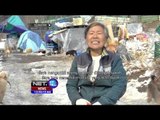 Seorang Wanita di Korea Selatan Abadikan Hidupnya untuk Ratusan Anjing - NET12