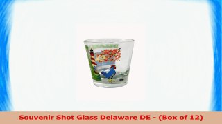 Souvenir Shot Glass Delaware DE  Box of 12 0f335b0f