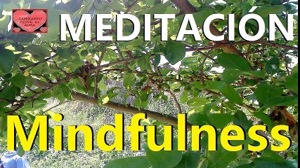 MEDITACIÓN GUIADA. Mindfulness.