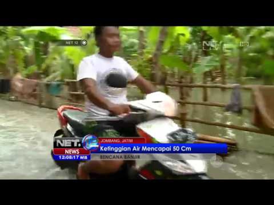Live Report: Puluhan Hektar Sawah Terendam Banjir di Jombang - NET12