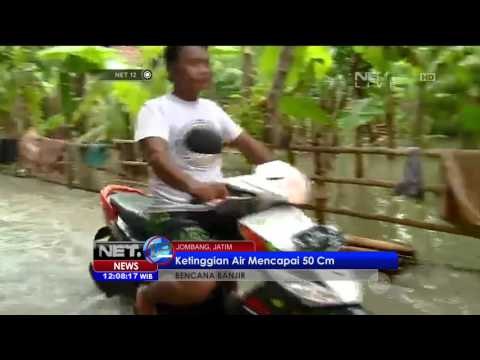 Live Report: Puluhan Hektar Sawah Terendam Banjir di Jombang - NET12