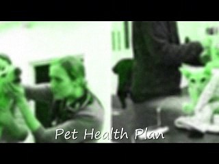 pet health plan