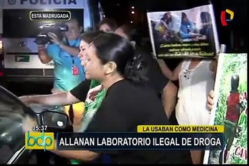 San Miguel: intervienen laboratorio ilegal de marihuana de supuesto uso medicinal