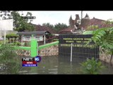 Banjir Mulai Merendam Jawa Timur, Pengungsi di Surabaya Mulai Terserang Penyakit - NET16