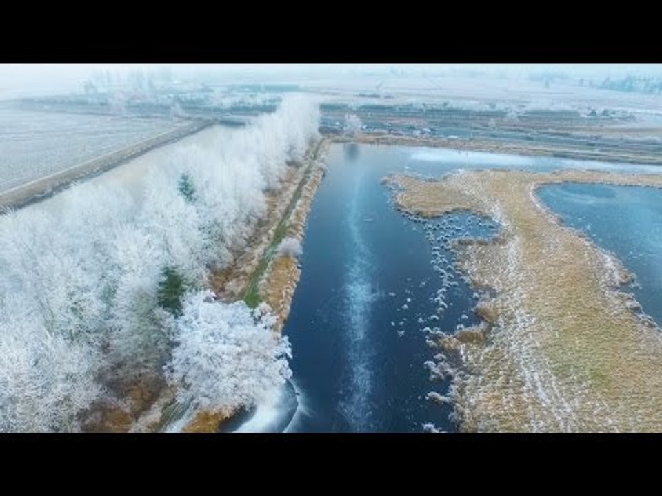 Amazing Drone Footage of Ice Hockey Game in Vancouver