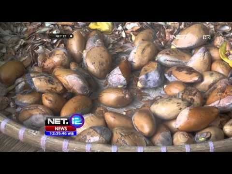 Kelezatan Kuliner Olahan Durian Beku dan Es Kaldu Durian - NET12