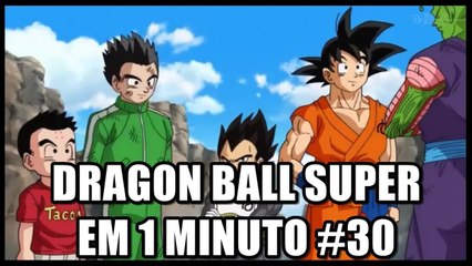 Dragon Ball Super em 1 minuto #30