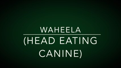 Waheela (Head Eating Canine)