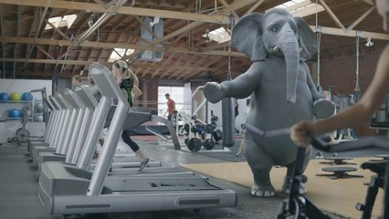 Wonderful Pistachios - Elephant Ernie