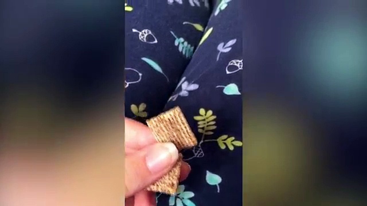 Hungry Hungry Pug