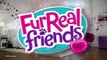 Hasbro - FurReal Friends - Walkin Kitties Bootsie - A4088 - TV Toys