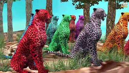 Animal Sounds For Children | Learn Animal Nursery Rhymes For Kids Collection