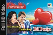 Dil Dariya full hd song by Zaheer roy & Neha Choudhry |lovely song  | heart breaking video song
